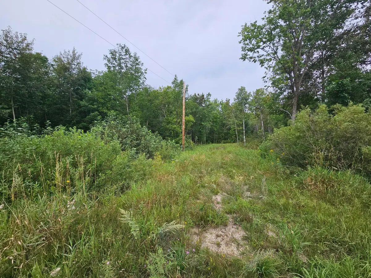 tbd Moose River Road E, Grygla, MN 56727 - #1