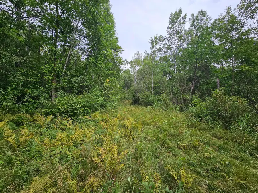 tbd Moose River Road E, Grygla, MN 56727 - #2