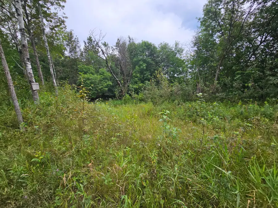 tbd Moose River Road E, Grygla, MN 56727 - #3