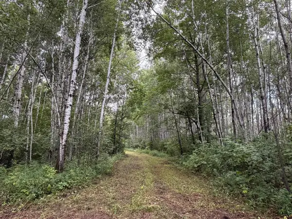 TBD County Road 12, Kettle River, MN 55767