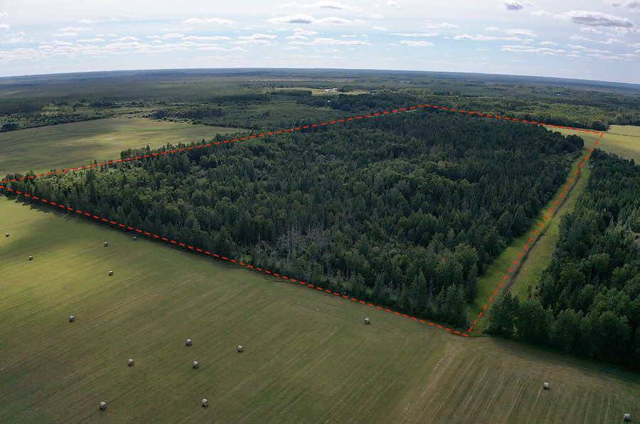 TBD Saralampi Road, Toivola, MN 55765 - #3