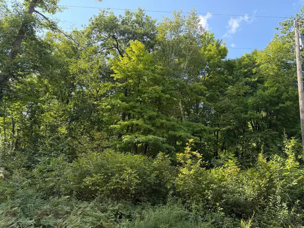 25XXX Eagle Ridge Road, Aitkin, MN 56431