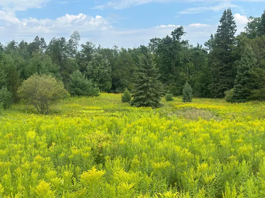 TBD Steinhart Circle, Grand Rapids, MN 55744 - #2