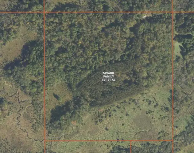 TBD 530th Avenue, Deer Creek, MN 56527 - #1