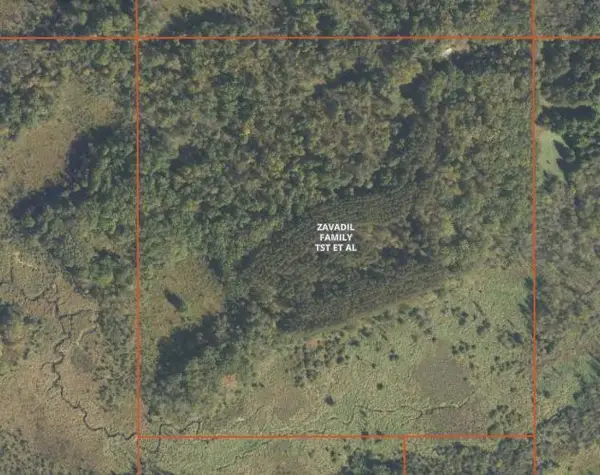 TBD 530th Avenue, Deer Creek, MN 56527