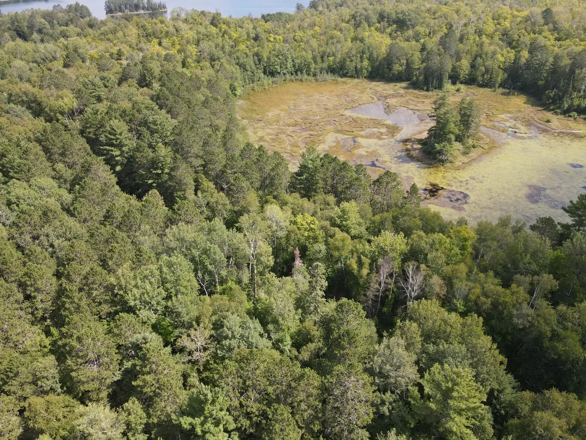 TBD Big Island Lake Trail, Marcell, MN 56657 - #1