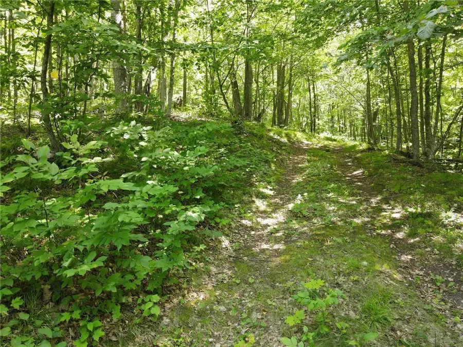TBD Idas Road, Osage, MN 56570 - #3