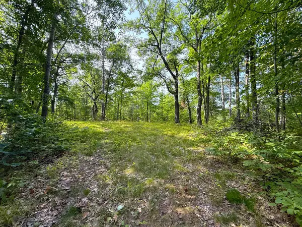 W9XXX Webb Lake Drive, Trego, WI 54888