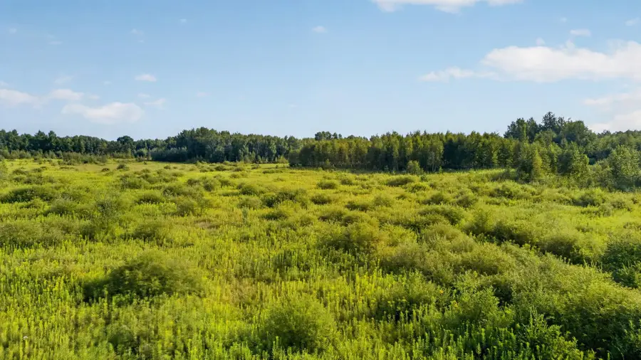 TBD Olson Road, Hinckley, MN 55037 - #3