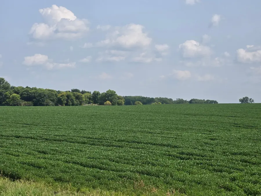 13261 480th Ave, Donnelly, MN 56235 - #2