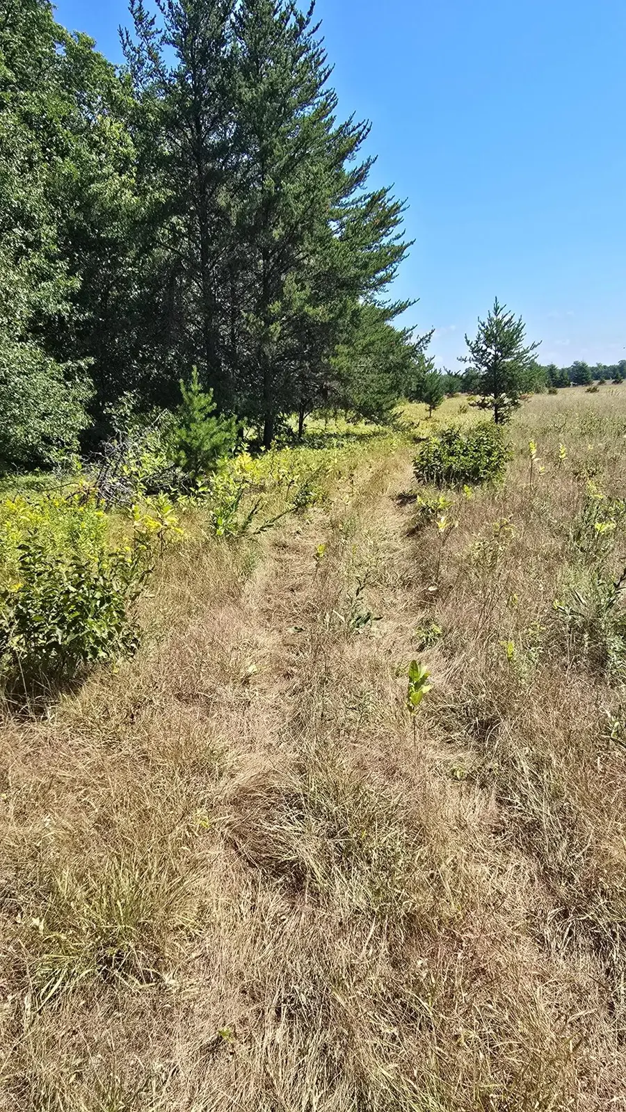 TBD Ravenswood Road, Brainerd, MN 56401 - #3
