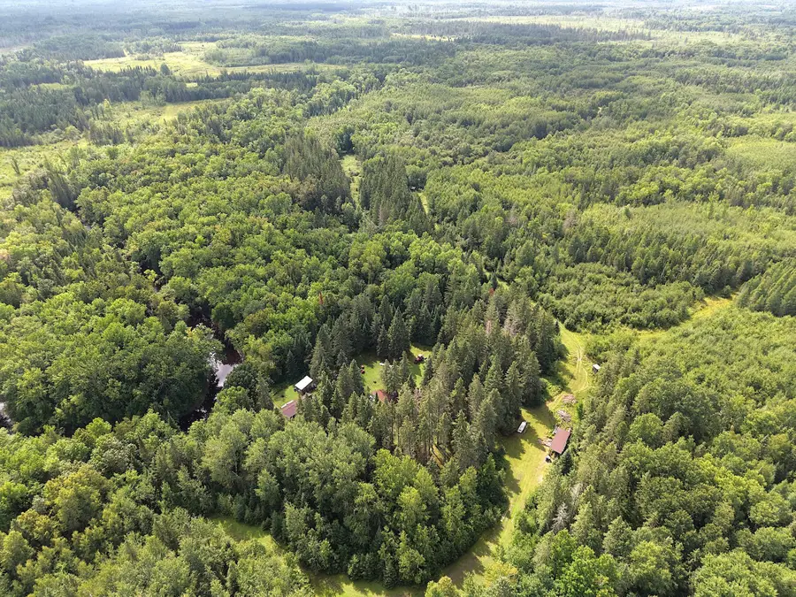 4047 Town Road 100, Loman, MN 56654 - #3