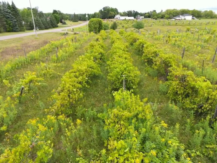 40306 Torchlight Road, Isle, MN 56342 - #3