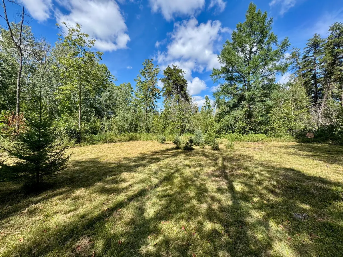 TBD River Forest Road, Roseau, MN 56751 - #1