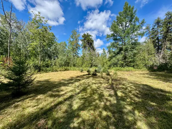 TBD River Forest Road, Roseau, MN 56751