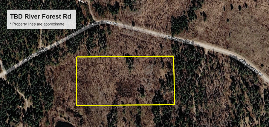 TBD River Forest Road, Roseau, MN 56751 - #3