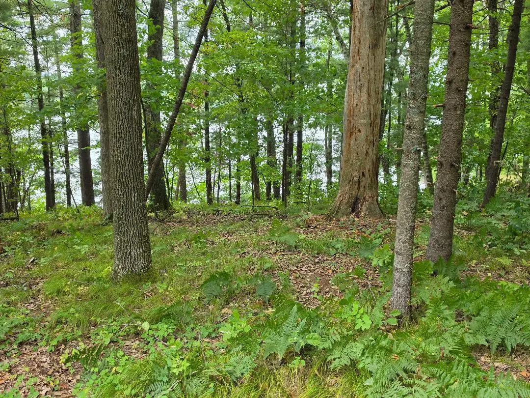 2406 4th Street ( Cty Rd H), Cumberland, WI 54829 - #1
