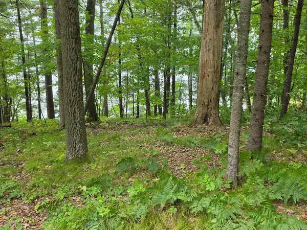 2406 Us Highway 63, Cumberland, WI 54829