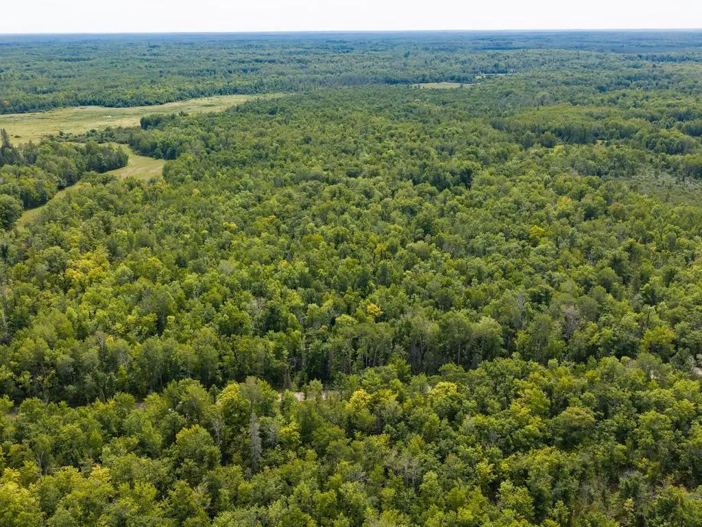 TBD 150th, McGrath, MN 56350 - #1