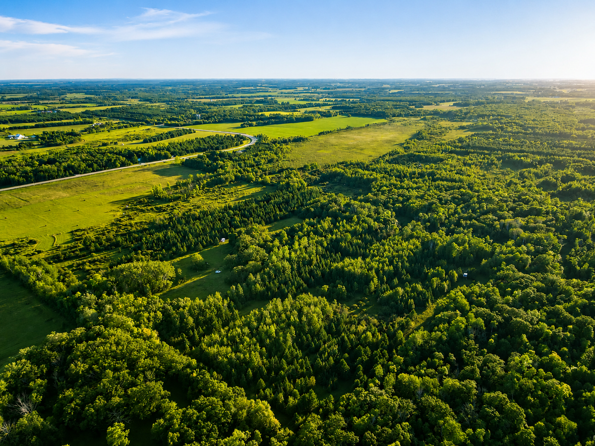 TBD Co Hwy 56, New York Mills, MN 56567 - #1