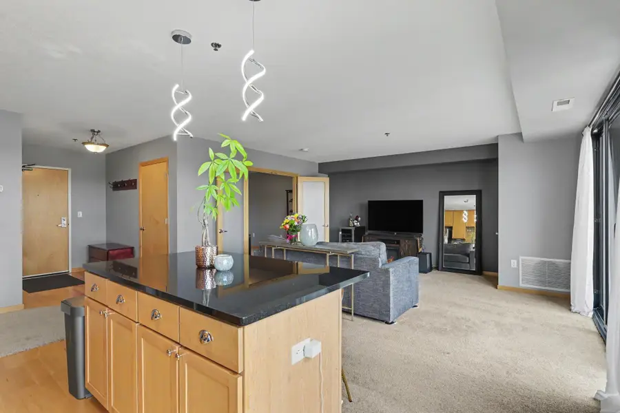 1502 5th Street N #402, Hopkins, MN 55305 - #3