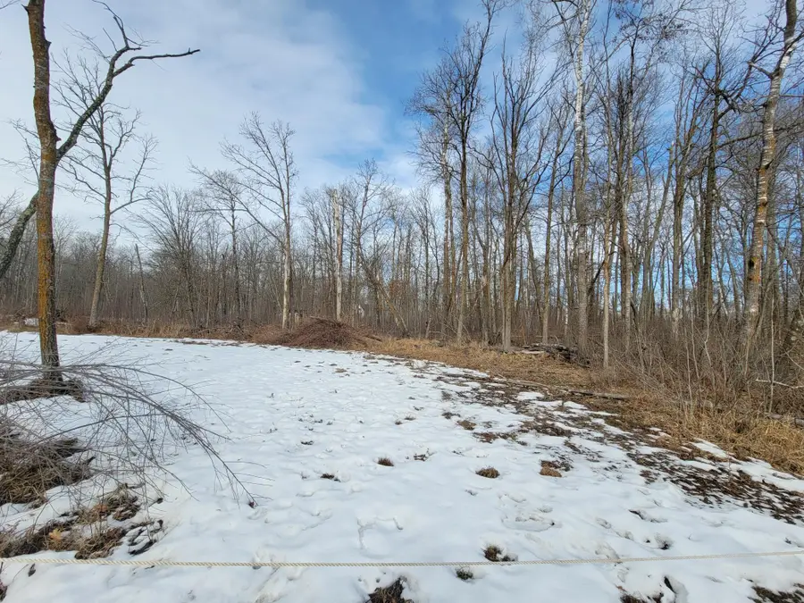 TBD Xxxx Black Bear Drive Sw, Motley, MN 56466 - #2