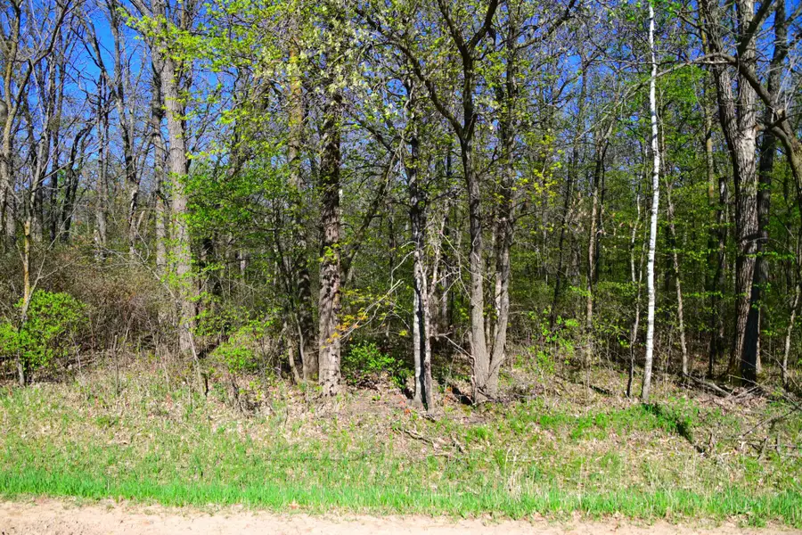 TBD 285 Avenue, Browerville, MN 56438 - #2