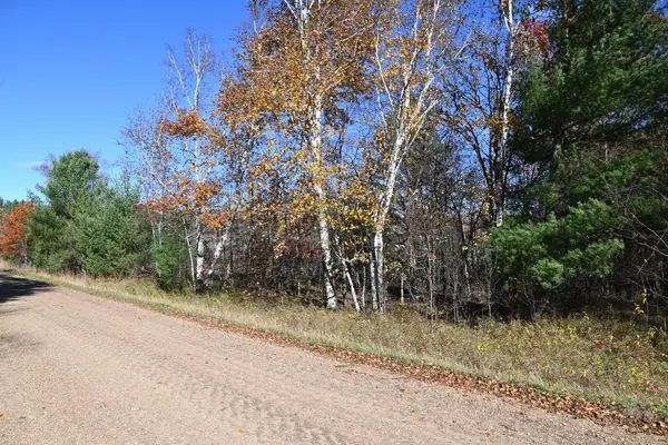 TBD Pacer Loop, Browerville, MN 56438