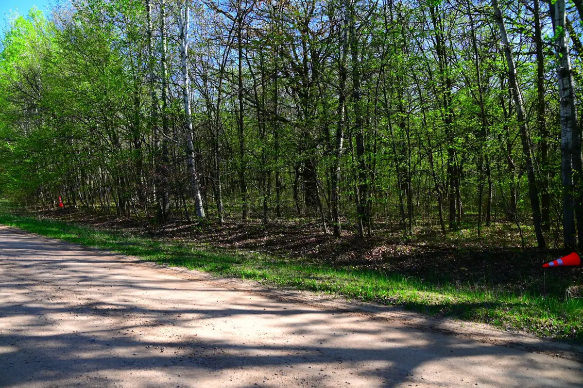 28329 Orchard Drive, Browerville, MN 56438 - #1