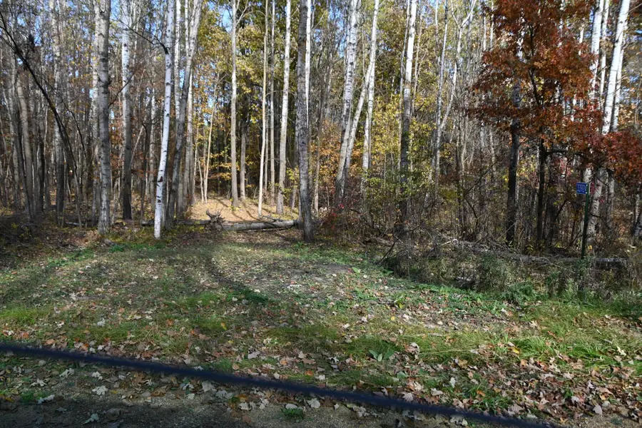 39924 Oriole Court, Browerville, MN 56438 - #2