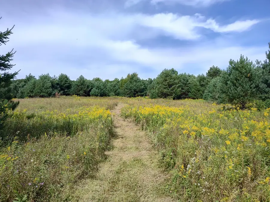 LOT 2 211th Street, Centuria, WI 54824 - #2