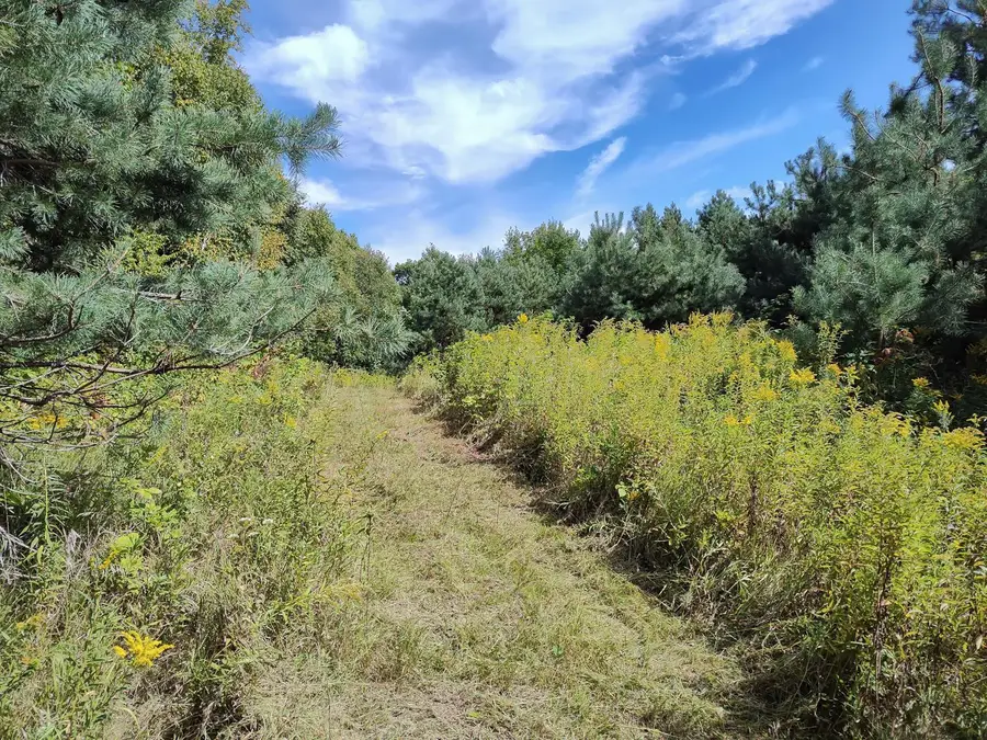 LOT 2 211th Street, Centuria, WI 54824 - #3