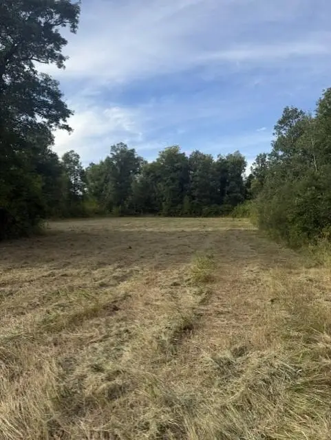 TBD Great River Road, Palisade, MN 56469 - #2
