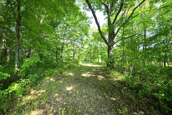00 10 1/2-28 1/2, Barronett, WI 54813