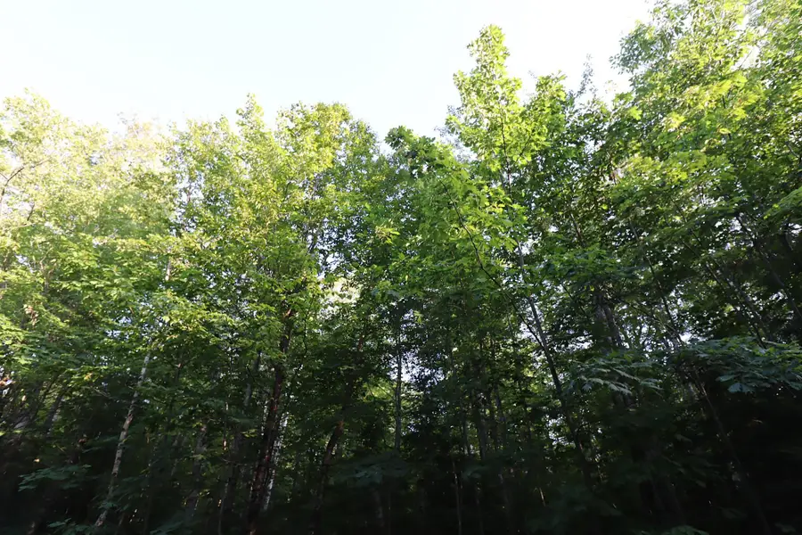 36XX N Shore Road, La Pointe, WI 54850 - #2