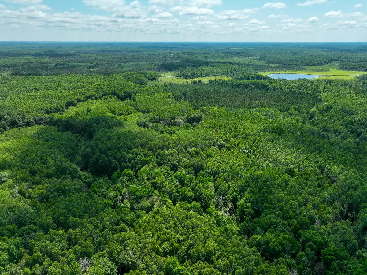 TBD Sago 5, Swan River, MN 55784 - #1