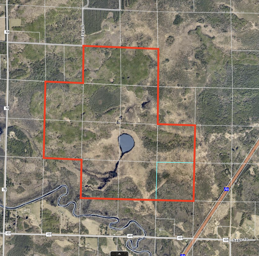 TBD Sago 5, Swan River, MN 55784 - #2