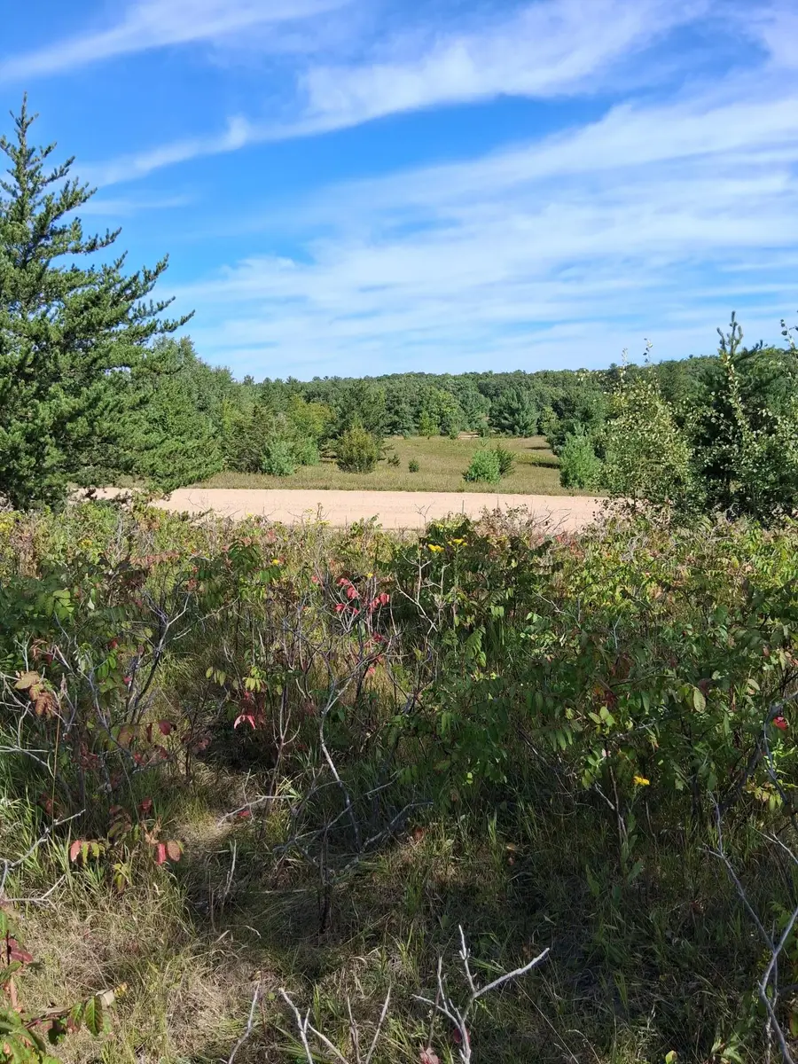 TBD Overland Drive, Browerville, MN 56438 - #3
