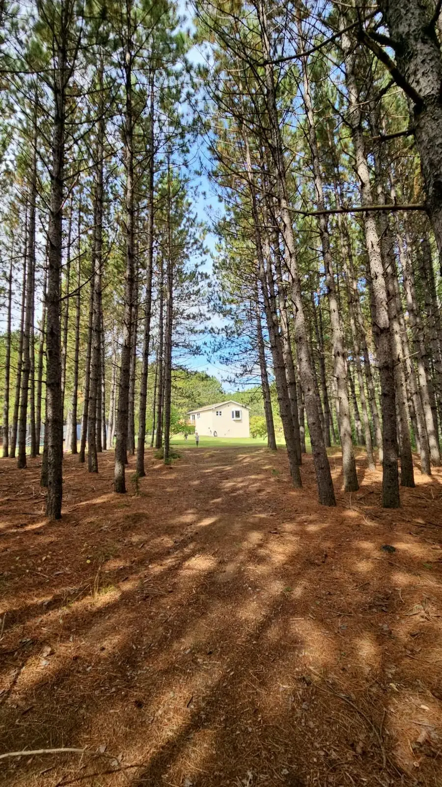 7120 Stockland Road, Virginia, MN 55792 - #2