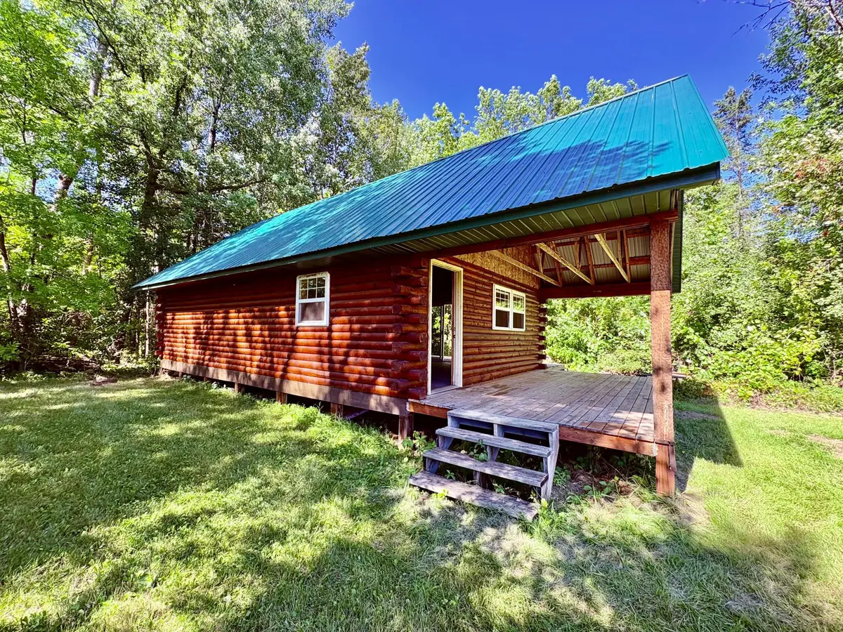 TBD State Highway 11, Loman, MN 56654 - #1