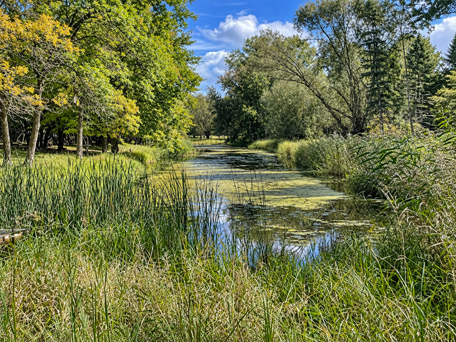 27123 Timber Hills Lane, Battle Lake, MN 56515 - #3