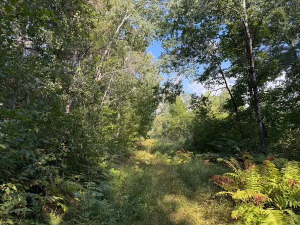 tbd Klice Road, Willow River, MN 55795