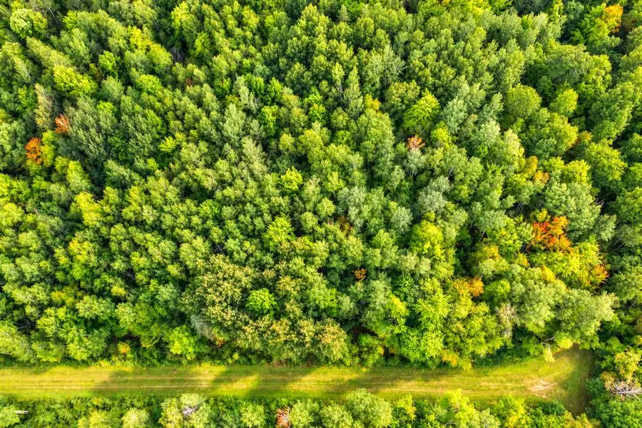 TBD 76th Street Sw, Pequot Lakes, MN 56472 - #3