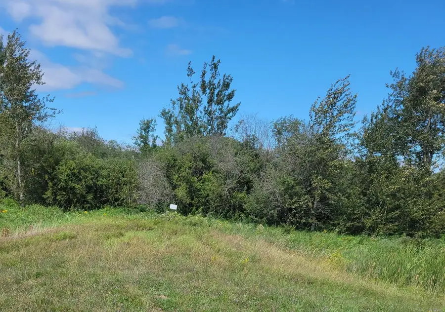 TBD 48th Street Nw, Williams, MN 56686 - #3