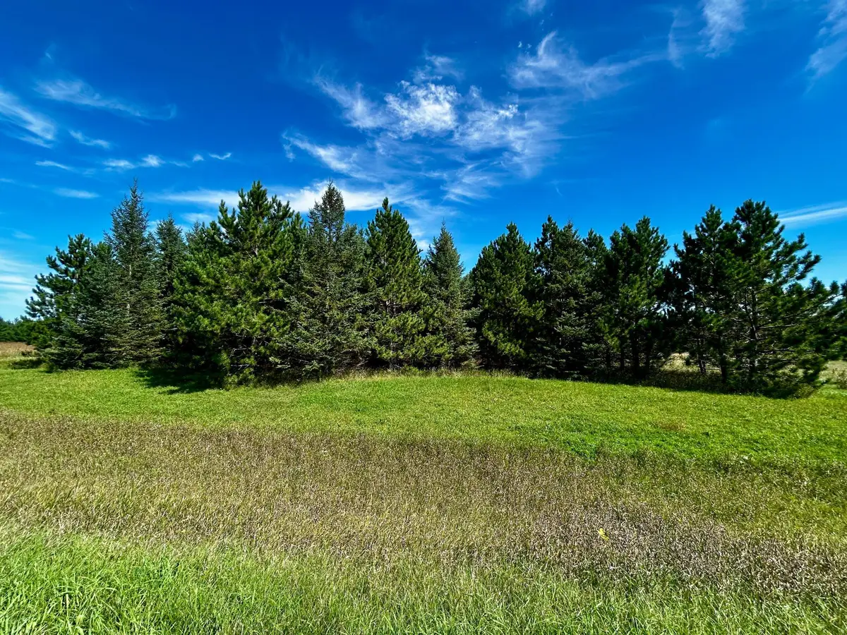 TBD 560th, New York Mills, MN 56567 - #1