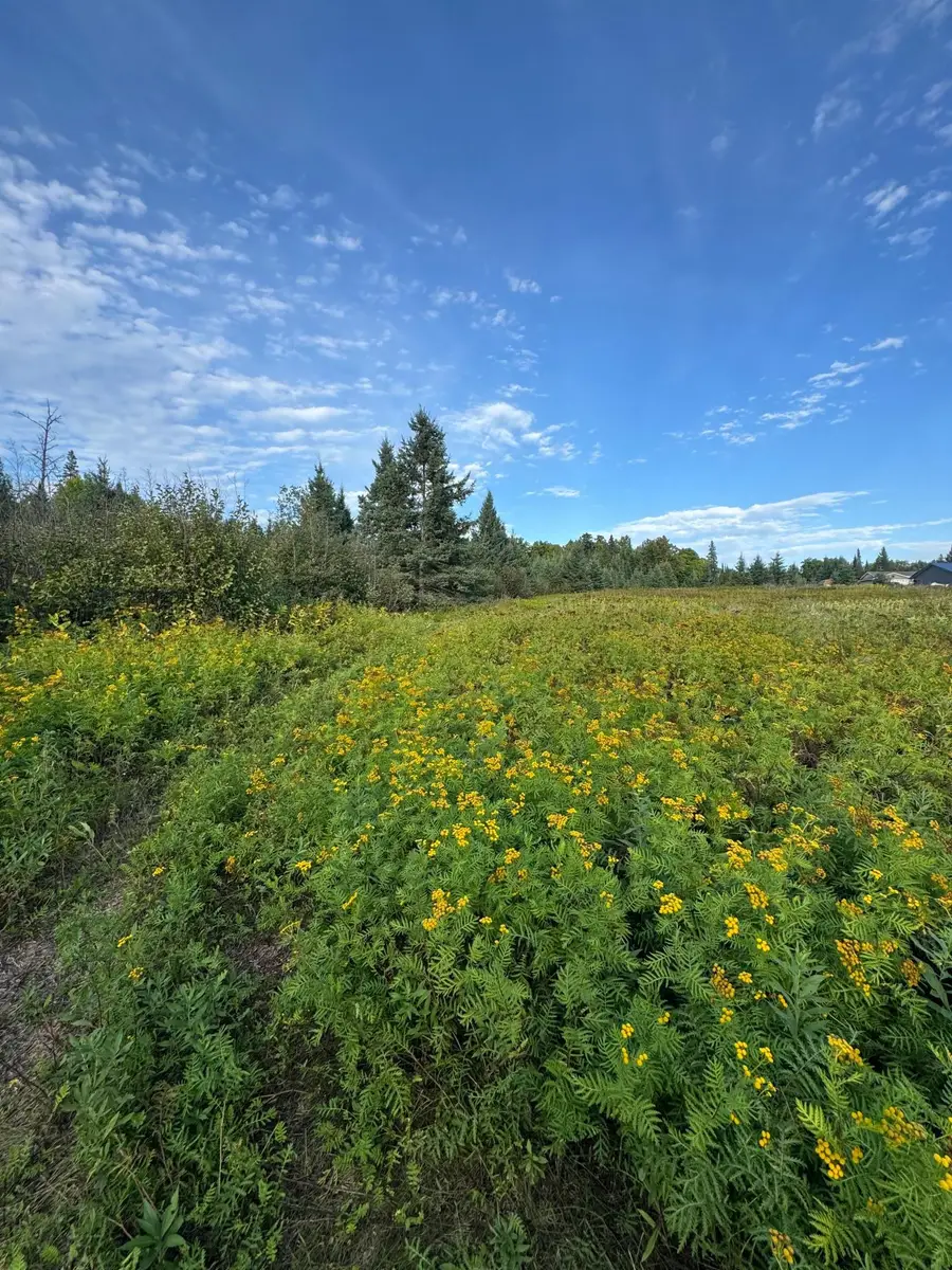 TBD Gull Lake Loop Road, Hines, MN 56647 - #2
