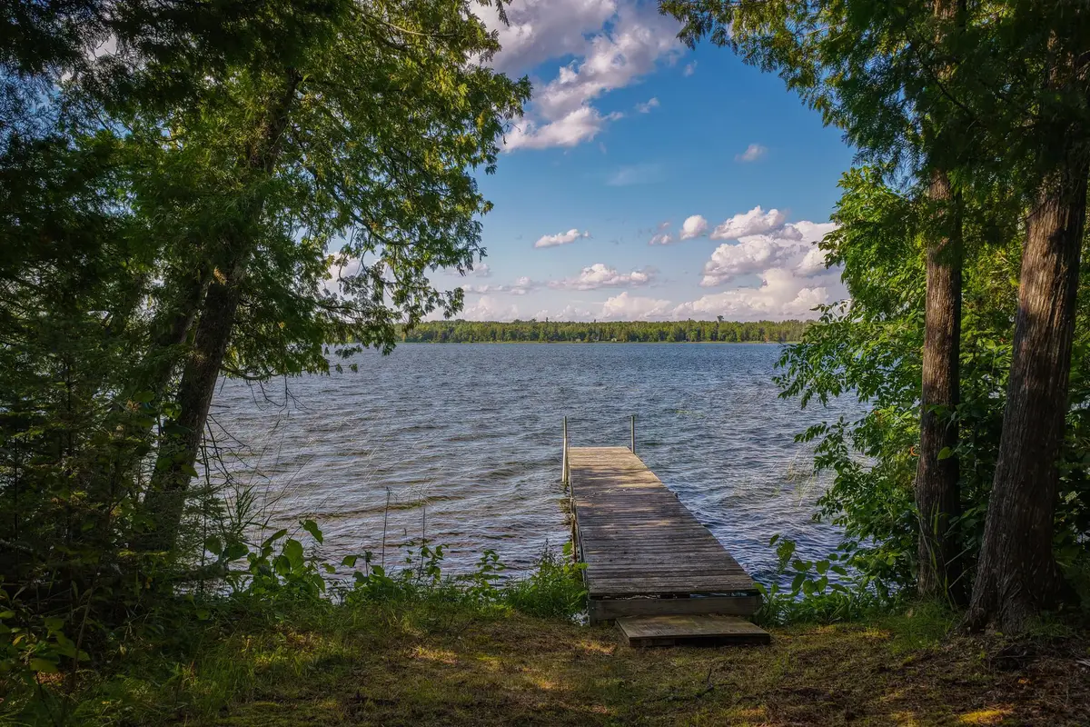 29453 Timberwolf Road Ne, Pennington, MN 56663 - #1