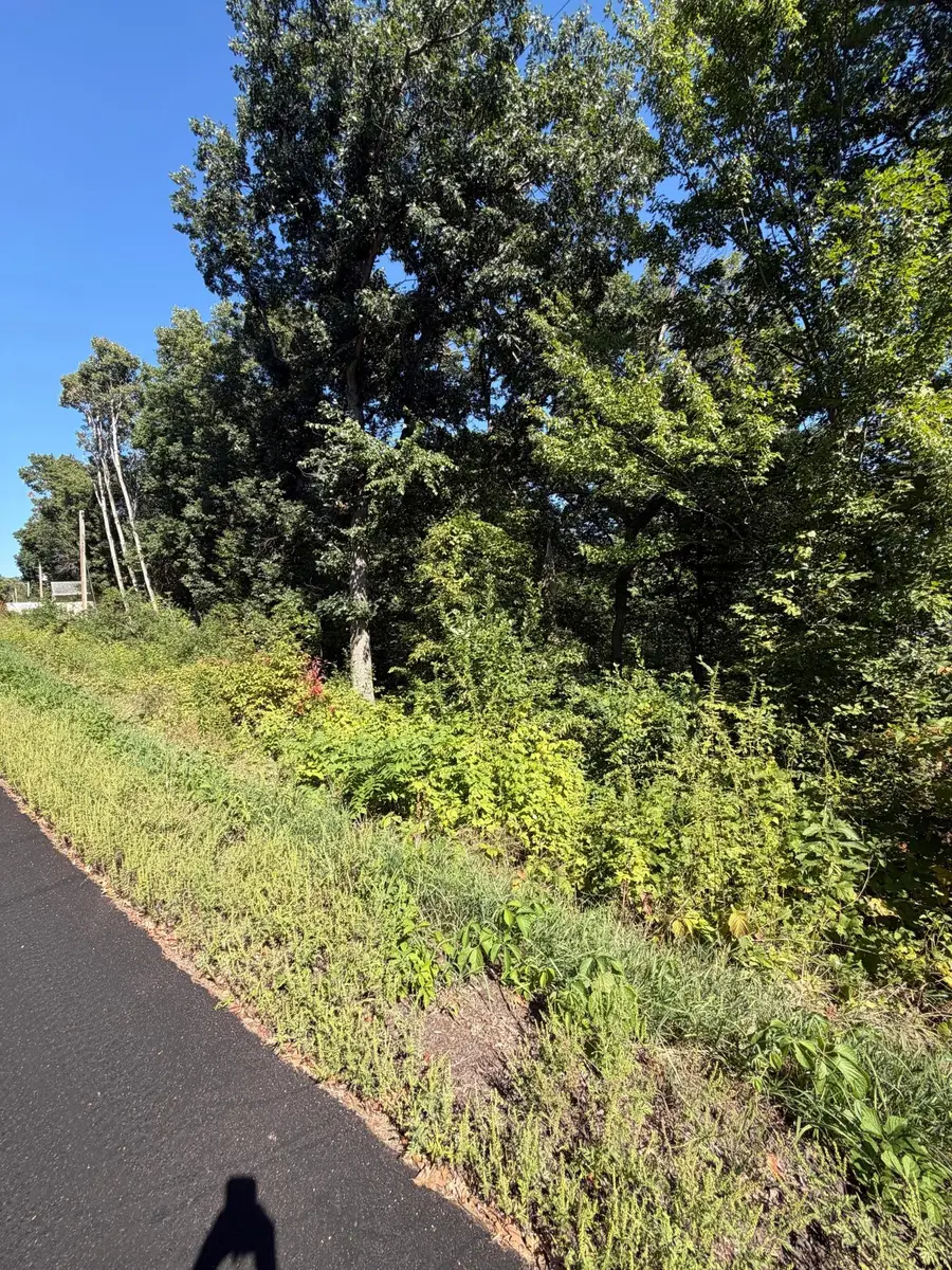 TBD 101st Street, Zimmerman, MN 55398 - #2