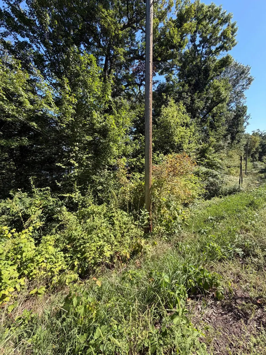 TBD 101st Street, Zimmerman, MN 55398 - #3