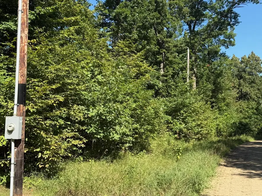 4XYZ Pinewood Court, Browerville, MN 56438 - #2